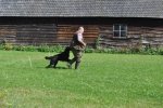 DSC_0233.jpg