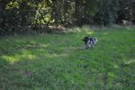 DSC_0270.jpg