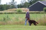 IMG_5203 Groot.jpeg