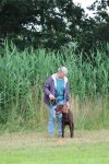 IMG_5219 Groot.jpeg