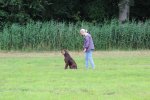 IMG_5229 Groot.jpeg