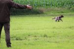 IMG_5292 Groot.jpeg