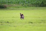 IMG_5293 Groot.jpeg