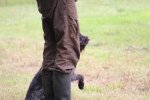 IMG_5304 Groot.jpeg