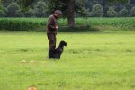IMG_5308 Groot.jpeg
