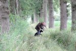 IMG_5447 Groot.jpeg