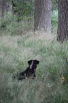 IMG_5452 Groot.jpeg