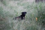 IMG_5457 Groot.jpeg