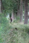 IMG_5466 Groot.jpeg