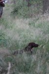IMG_5468 Groot.jpeg