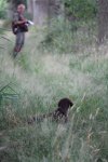 IMG_5471 Groot.jpeg