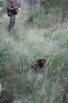 IMG_5472 Groot.jpeg