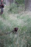 IMG_5474 Groot.jpeg