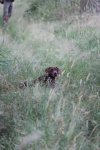 IMG_5476 Groot.jpeg