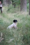 IMG_5493 Groot.jpeg
