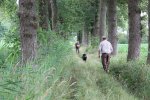 IMG_5501 Groot.jpeg