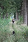 IMG_5510 Groot.jpeg