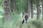 IMG_5517 Groot.jpeg