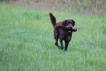 IMG_5576 Groot.jpeg